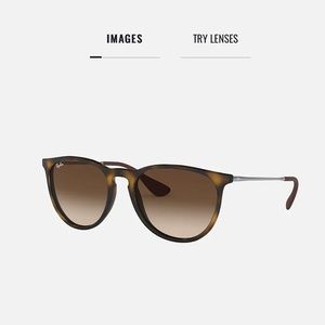 Ray-Ban Brown Tortoise Erika Sunglasses